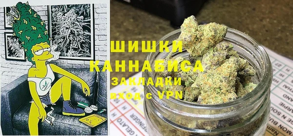 PSILOCYBIN Алзамай