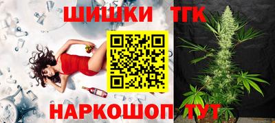 гашик Моздок