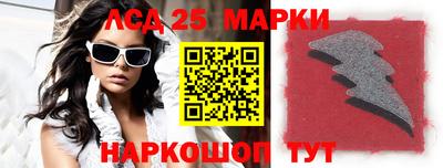 гашик Моздок