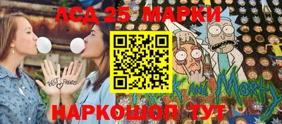 гашик Моздок