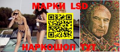 гашик Моздок