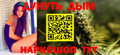 гашик Моздок