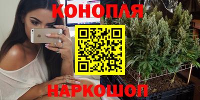 гидропоника Можайск