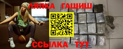 гашик Моздок