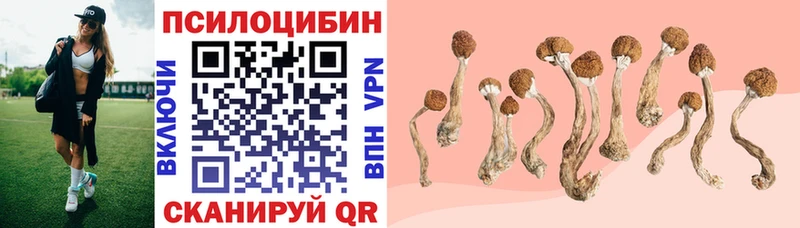 Галлюциногенные грибы GOLDEN TEACHER  Энгельс 