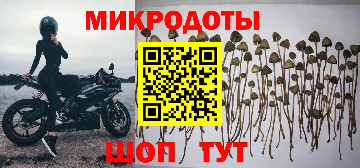 Псилоцибиновые грибы прущие грибы Энгельс